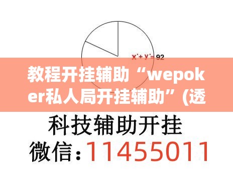 教程开挂辅助“wepoker私人局开挂辅助”(透视挂)辅助透视教程