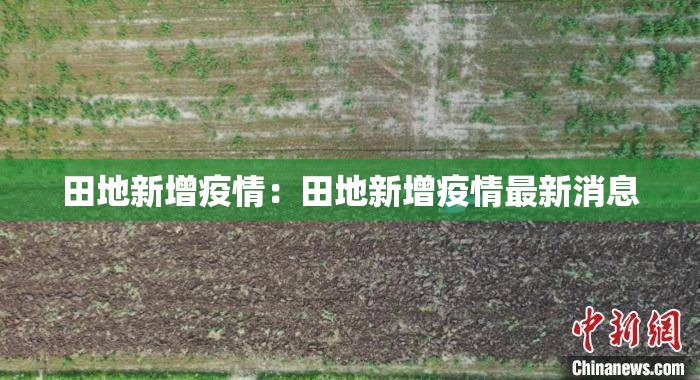 田地新增疫情:田地新增疫情最新消息 田地新增疫情:田地新增疫情最新消息