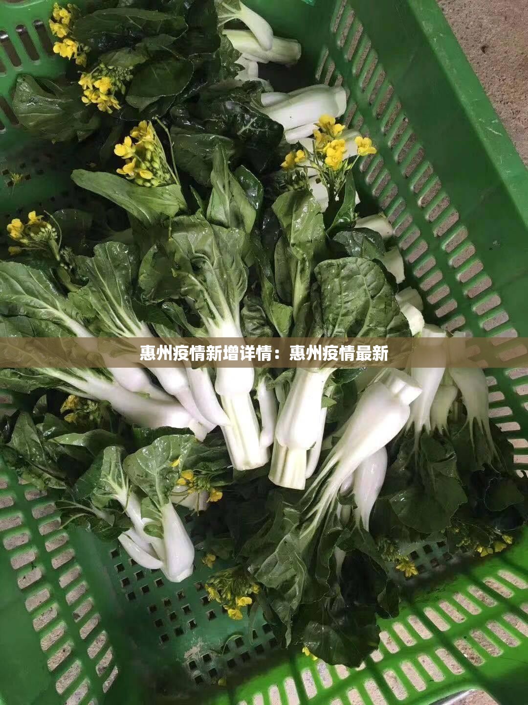 惠州疫情新增详情:惠州疫情最新 惠州疫情新增详情:惠州疫情最新