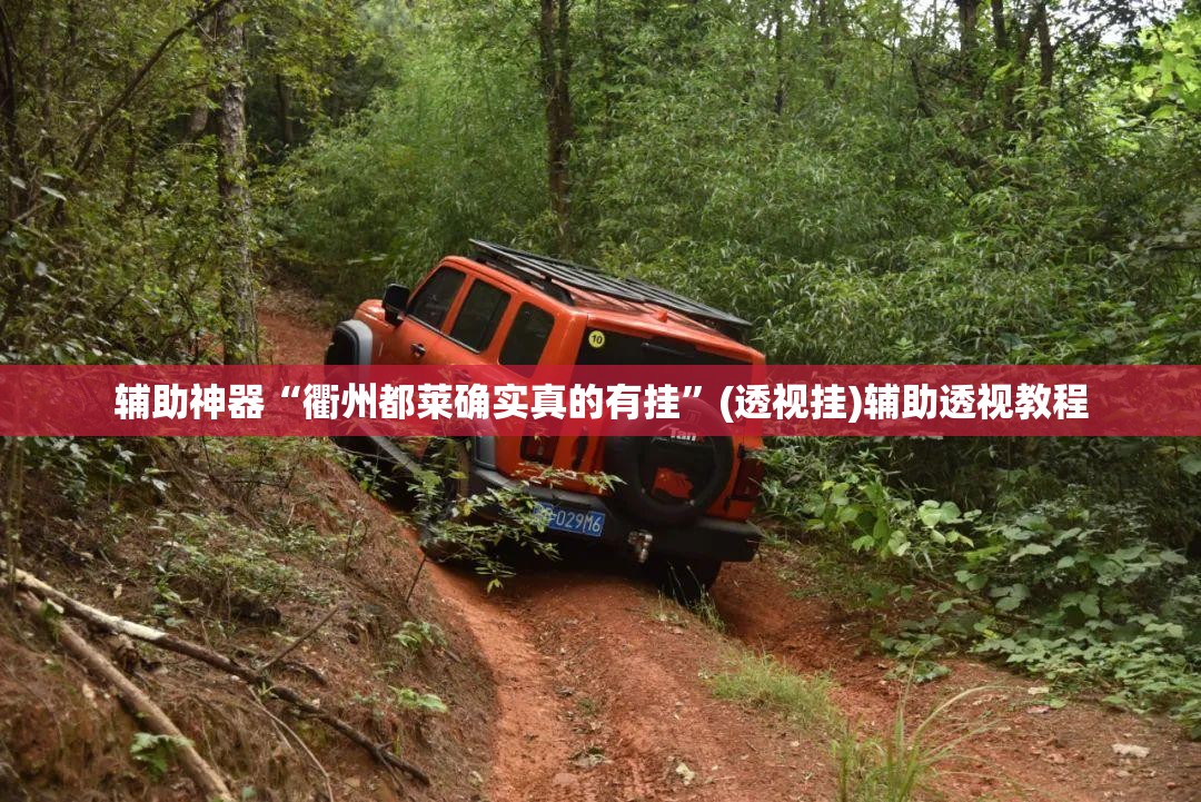 辅助神器“衢州都莱确实真的有挂”(透视挂)辅助透视教程