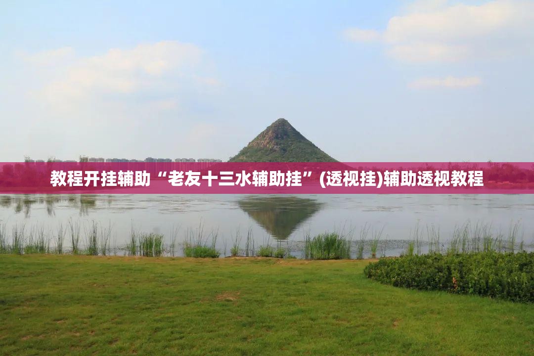 教程开挂辅助“老友十三水辅助挂	”(透视挂)辅助透视教程