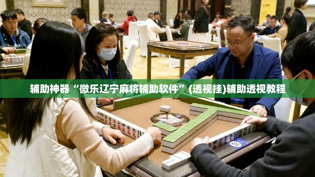 辅助神器“微乐辽宁麻将辅助软件”(透视挂)辅助透视教程
