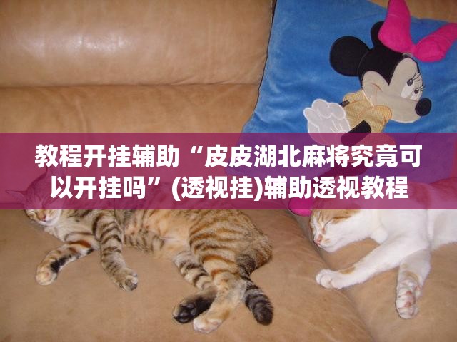教程开挂辅助“皮皮湖北麻将究竟可以开挂吗”(透视挂)辅助透视教程