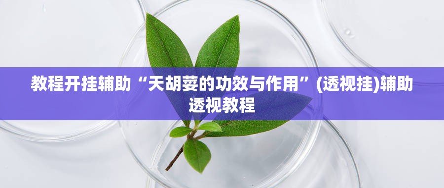 教程开挂辅助“天胡荽的功效与作用”(透视挂)辅助透视教程