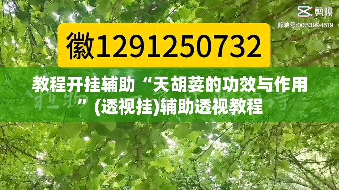 教程开挂辅助“天胡荽的功效与作用”(透视挂)辅助透视教程