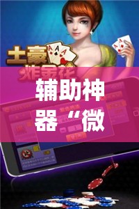 辅助神器“微乐斗地主万能透视”(透视挂)辅助透视教程