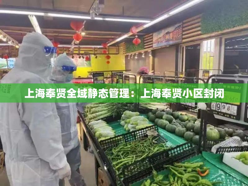 上海奉贤全域静态管理：上海奉贤小区封闭