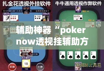 辅助神器“poker now透视挂辅助方法”(透视挂)辅助透视教程