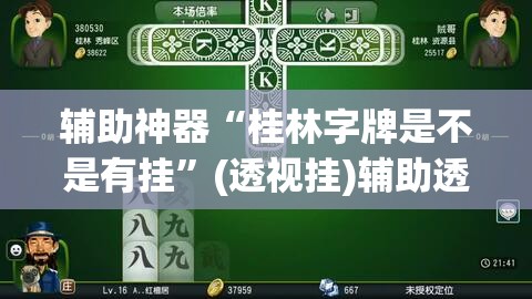 辅助神器“桂林字牌是不是有挂”(透视挂)辅助透视教程