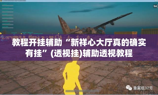 教程开挂辅助“新祥心大厅真的确实有挂”(透视挂)辅助透视教程