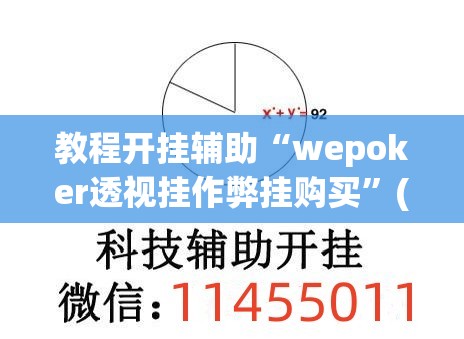 教程开挂辅助“wepoker透视挂作弊挂购买”(透视挂)辅助透视教程