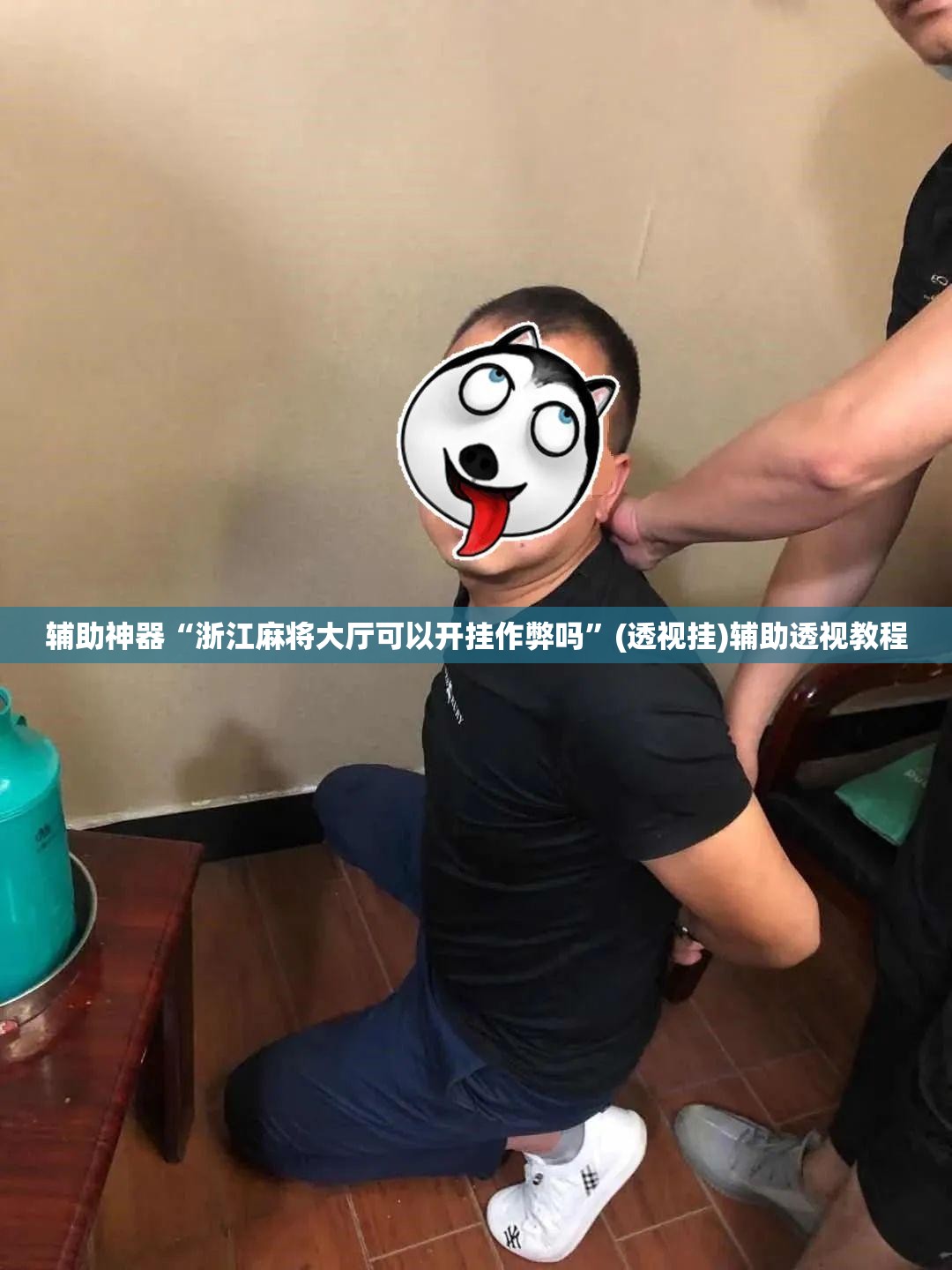 辅助神器“浙江麻将大厅可以开挂作弊吗	”(透视挂)辅助透视教程