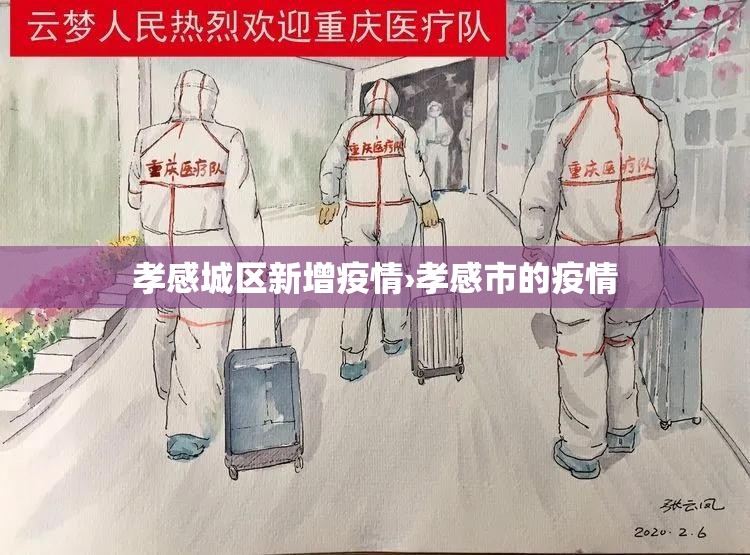 孝感城区新增疫情›孝感市的疫情