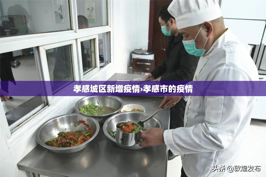 孝感城区新增疫情›孝感市的疫情 孝感城区新增疫情›孝感市的疫情