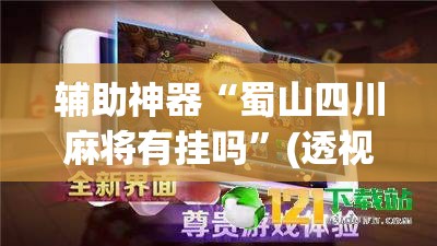 辅助神器“蜀山四川麻将有挂吗”(透视挂)辅助透视教程