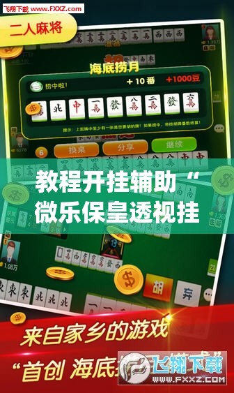 教程开挂辅助“微乐保皇透视挂作用”(透视挂)辅助透视教程