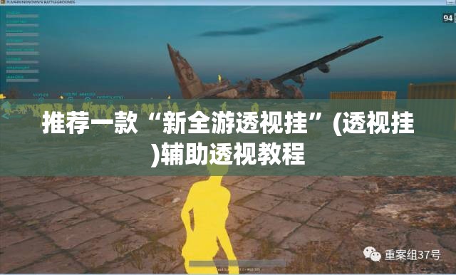 推荐一款“新全游透视挂”(透视挂)辅助透视教程