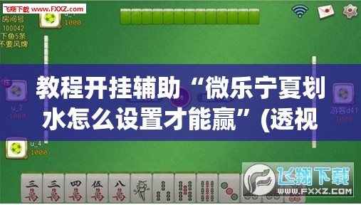 教程开挂辅助“微乐宁夏划水怎么设置才能赢”(透视挂)辅助透视教程
