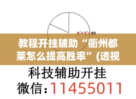教程开挂辅助“衢州都莱怎么提高胜率”(透视挂)辅助透视教程