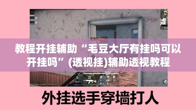 教程开挂辅助“毛豆大厅有挂吗可以开挂吗”(透视挂)辅助透视教程