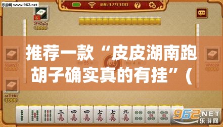 推荐一款“皮皮湖南跑胡子确实真的有挂”(透视挂)辅助透视教程