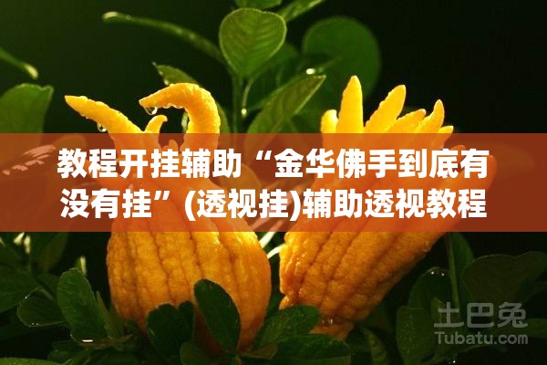 教程开挂辅助“金华佛手到底有没有挂	”(透视挂)辅助透视教程