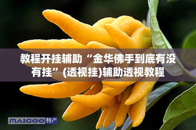 教程开挂辅助“金华佛手到底有没有挂	”(透视挂)辅助透视教程