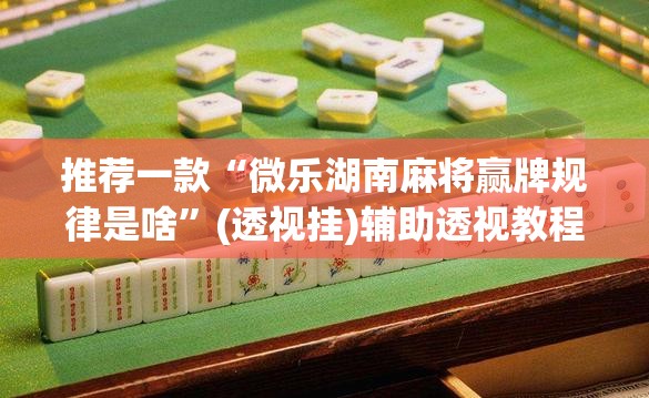 推荐一款“微乐湖南麻将赢牌规律是啥	”(透视挂)辅助透视教程