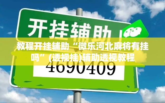 教程开挂辅助“微乐河北麻将有挂吗”(透视挂)辅助透视教程