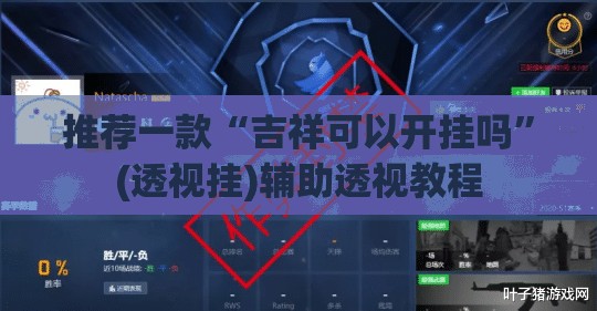 推荐一款“吉祥可以开挂吗”(透视挂)辅助透视教程