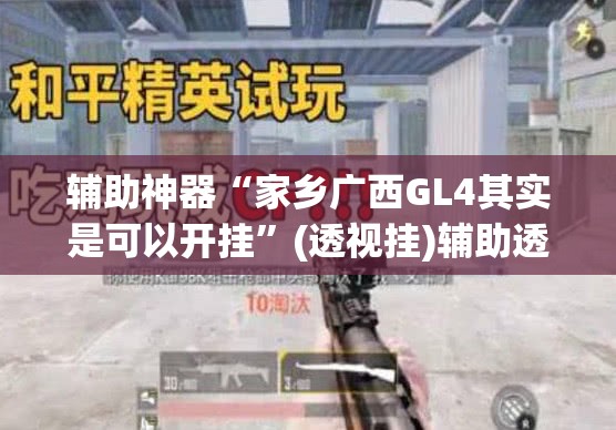 辅助神器“家乡广西GL4其实是可以开挂”(透视挂)辅助透视教程