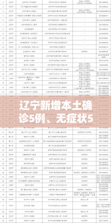 辽宁新增本土确诊5例、无症状52例：辽宁新增本土无症状8例
