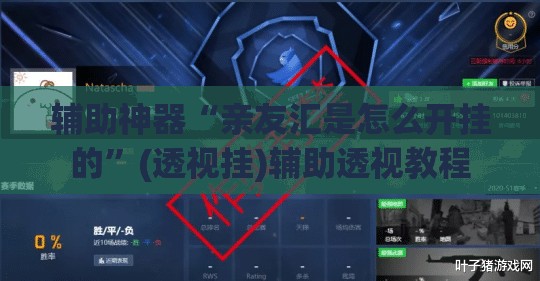辅助神器“亲友汇是怎么开挂的”(透视挂)辅助透视教程