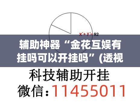 辅助神器“金花互娱有挂吗可以开挂吗”(透视挂)辅助透视教程