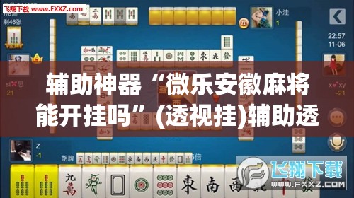 辅助神器“微乐安徽麻将能开挂吗	”(透视挂)辅助透视教程