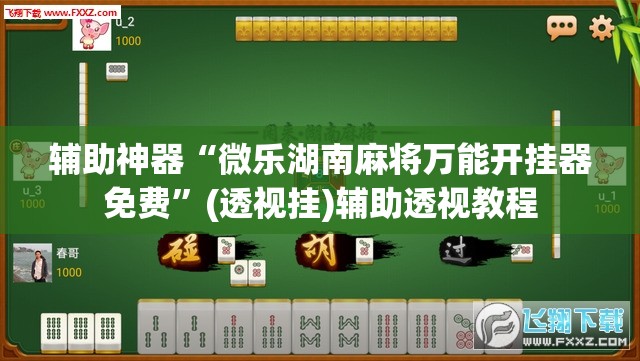 辅助神器“微乐湖南麻将万能开挂器免费”(透视挂)辅助透视教程