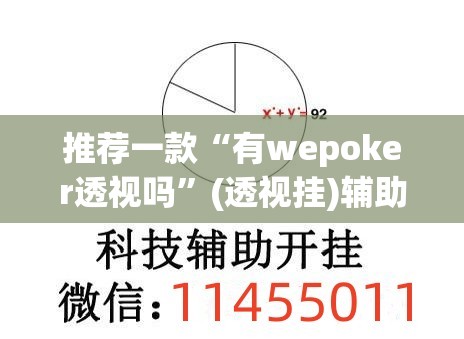 推荐一款“有wepoker透视吗”(透视挂)辅助透视教程