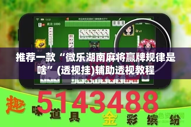 推荐一款“微乐湖南麻将赢牌规律是啥”(透视挂)辅助透视教程