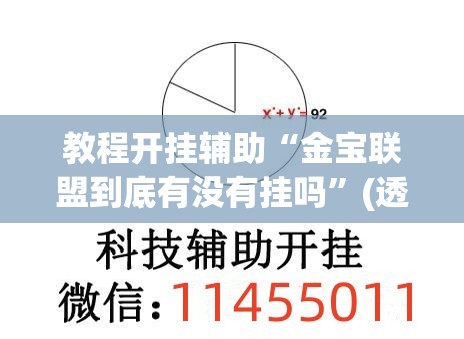 教程开挂辅助“金宝联盟到底有没有挂吗”(透视挂)辅助透视教程