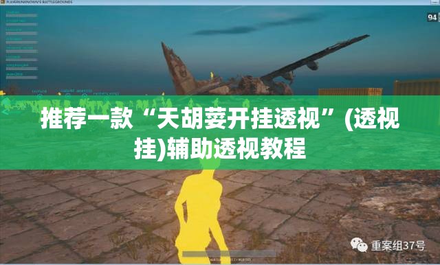 推荐一款“天胡荽开挂透视”(透视挂)辅助透视教程