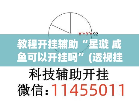 教程开挂辅助“星璇 咸鱼可以开挂吗	”(透视挂)辅助透视教程