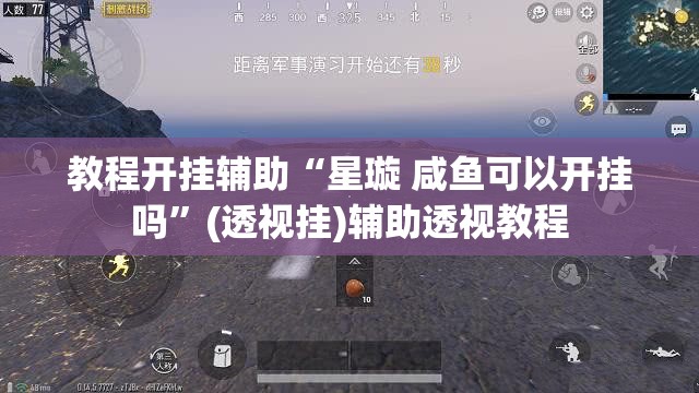 教程开挂辅助“星璇 咸鱼可以开挂吗”(透视挂)辅助透视教程