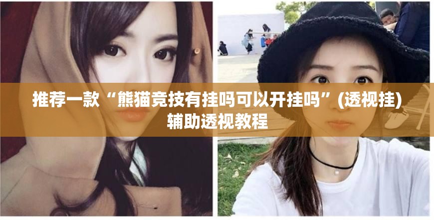 推荐一款“熊猫竞技有挂吗可以开挂吗”(透视挂)辅助透视教程