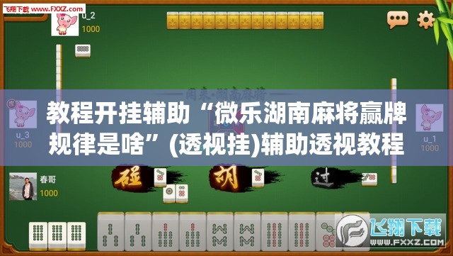 教程开挂辅助“微乐湖南麻将赢牌规律是啥	”(透视挂)辅助透视教程