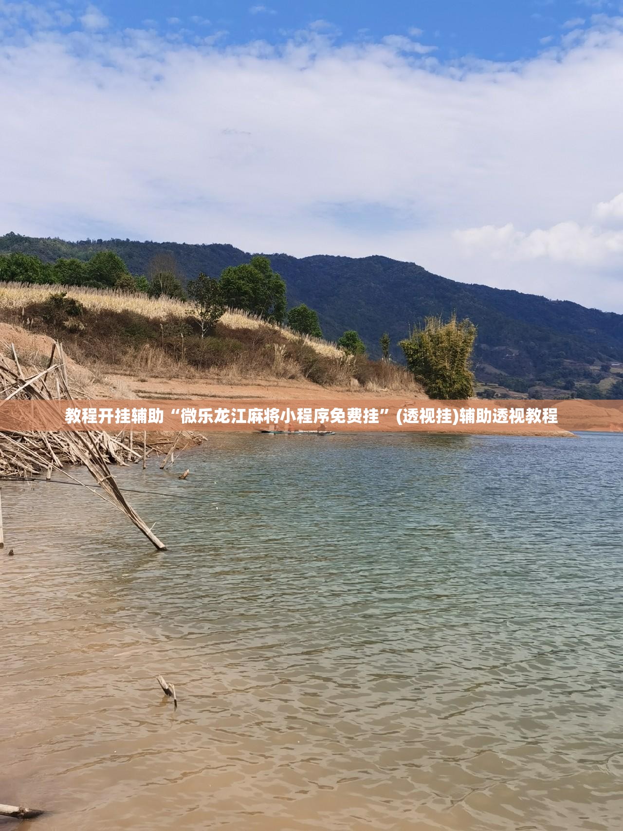 教程开挂辅助“微乐龙江麻将小程序免费挂”(透视挂)辅助透视教程