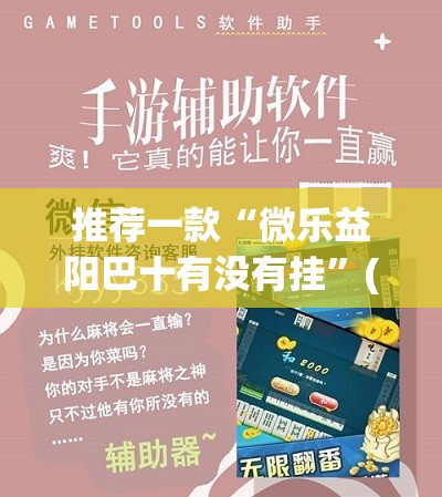 推荐一款“微乐益阳巴十有没有挂”(透视挂)辅助透视教程