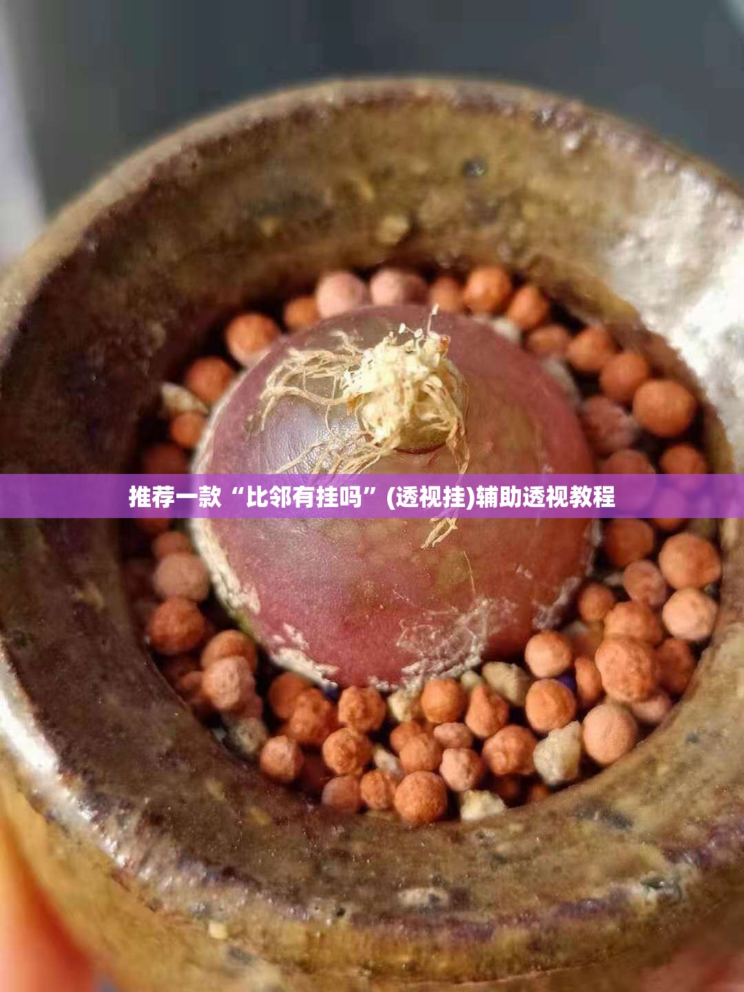推荐一款“比邻有挂吗	”(透视挂)辅助透视教程