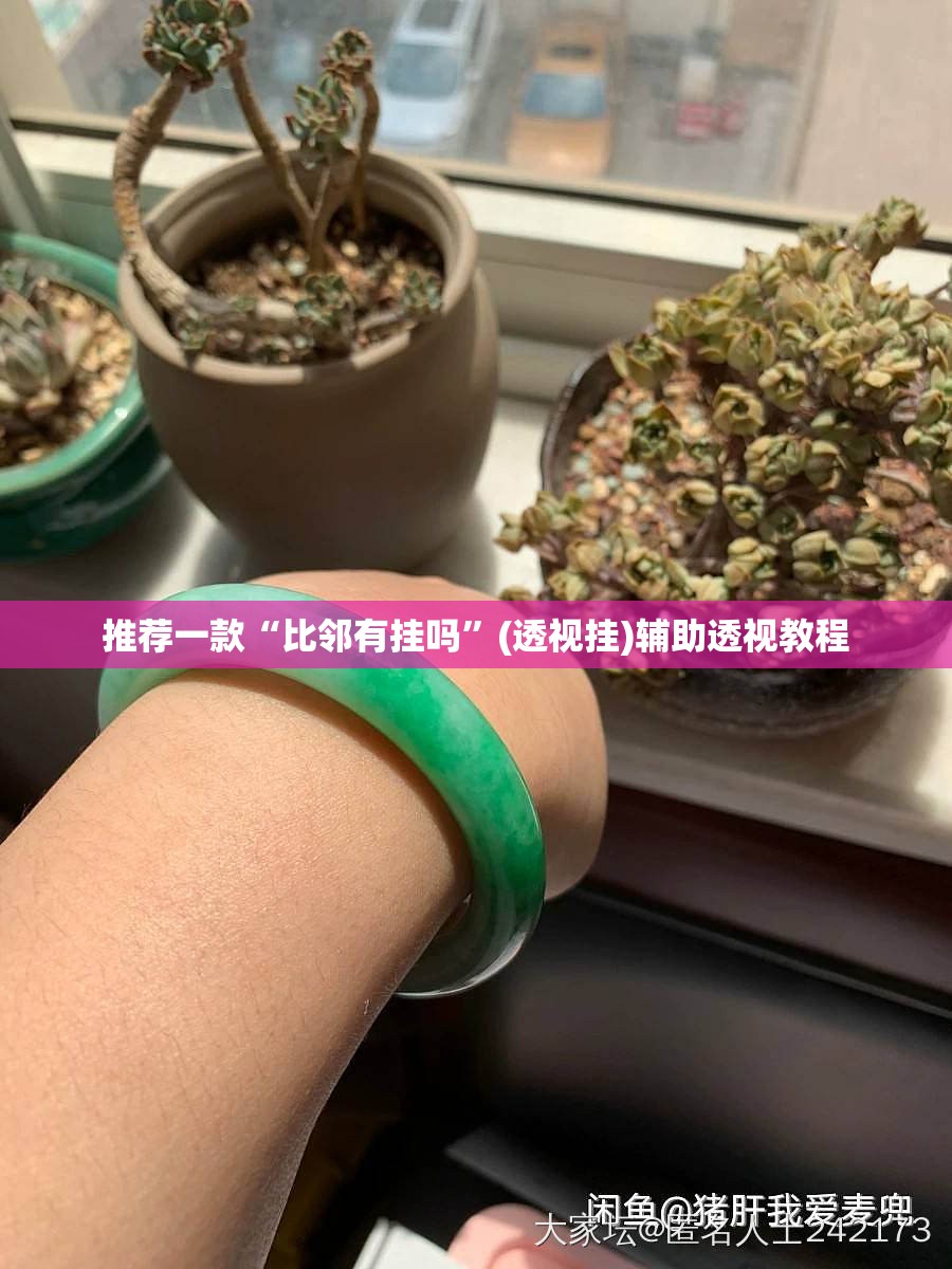 推荐一款“比邻有挂吗”(透视挂)辅助透视教程