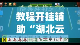 教程开挂辅助“湖北云雀麻将确实有挂吗”(透视挂)辅助透视教程