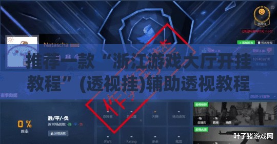 推荐一款“浙江游戏大厅开挂教程”(透视挂)辅助透视教程